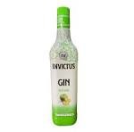 Gin Invictus Maçã Verde